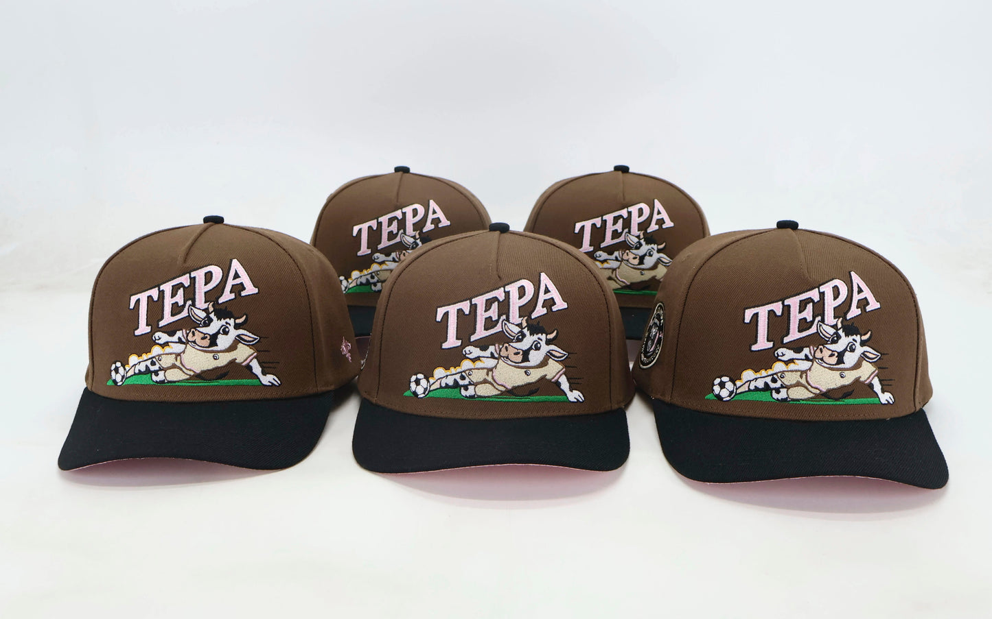 Vintage Snap Back